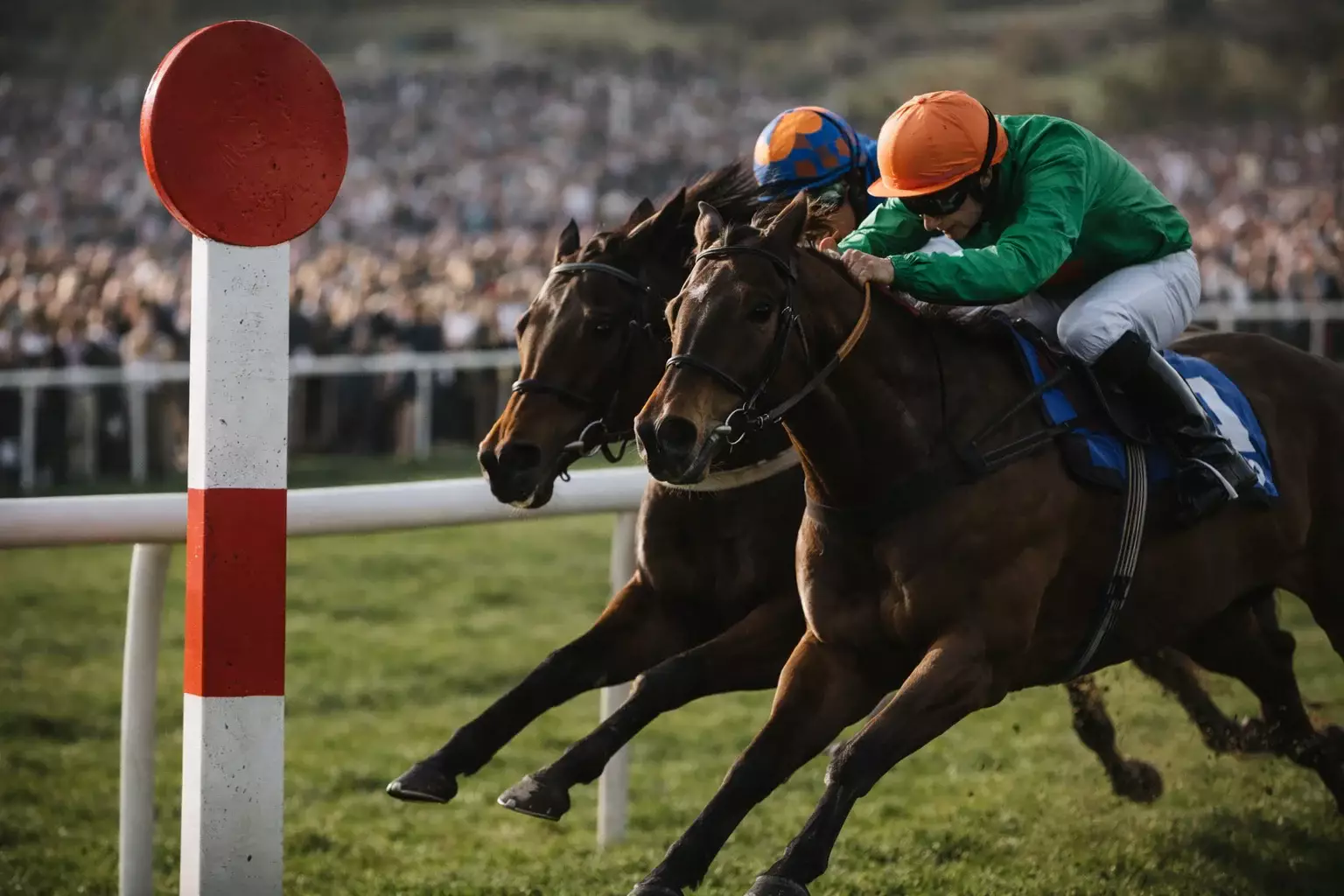 Cheltenham each-way betting rules explained with place terms and fractions